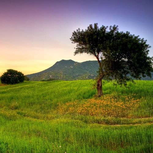 Plots for sale in Urali kanchan